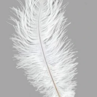 перо страуса PAPAYA JAM Ostrich Feather White	