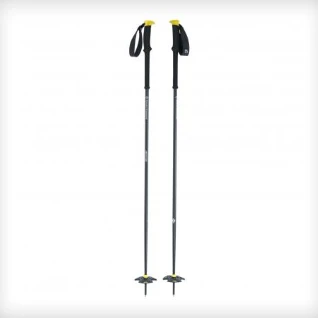 Expedition 1 Ski Poles