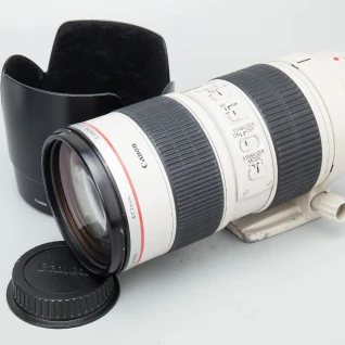 Объектив Canon EF 70-200mm f/2.8L IS USM