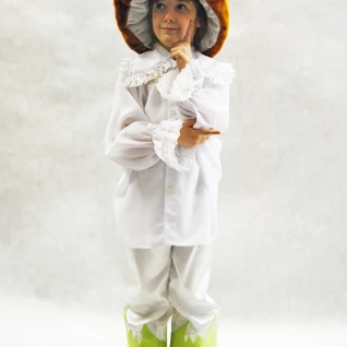 КОСТЮМ ГРИБ БОРОВИК