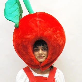 КОСТЮМ ВИШНЯ 