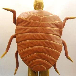 РОСТОВАЯ КУКЛА КЛОП, ЖУК