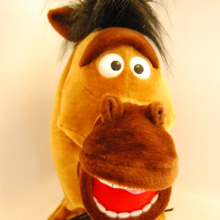 КОНЬ (на голову)