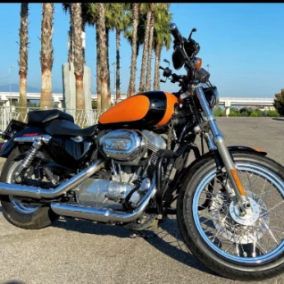 Harley Davidson Sportster 883 "Sunset"