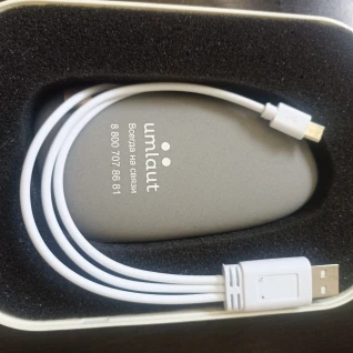 Powerbank Umlaut