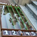Возьмите Ящик для "Тараканьи бега" ("Мышиные бега")  напрокат (Фото 3) в Москве