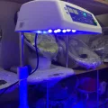 Возьмите Прокат верхней фотолампы от жетухи  Аксион ОФТН-420/470-02 напрокат (Фото 4) в Санкт-Петербурге