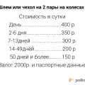 Возьмите Чехол для горных лыж с колесами напрокат (Фото 2) в Москве