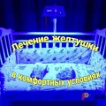Возьмите Аренда лампы для лечения желтухи новорожденных ОФТН-420/470–02 «АКСИОН» напрокат (Фото 4) В Ярославле