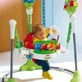 Возьмите Прыгунки Fisher-Price "Тропический лес" напрокат (Фото 7) common.inCity.yaroslavl
