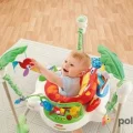 Возьмите Прыгунки Fisher-Price "Тропический лес" напрокат (Фото 5) common.inCity.yaroslavl
