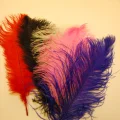 Возьмите ПЕРЬЯ ДЛЯ МАСКАРАДНЫХ КОСТЮМОВ напрокат (Фото 3) в Москве