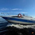 Возьмите  Катер прогулочный Дыхание ветра / Bayliner 305  напрокат (Фото 1) в Санкт-Петербурге