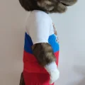 Возьмите Ростовая кукла Волк Патриот напрокат (Фото 4) в Москве