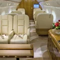 Возьмите Gulfstream G650 напрокат (Фото 3) в Москве