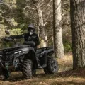 Возьмите Квадроцикл CFMOTO CFORCE 600 напрокат (Фото 2) в Москве