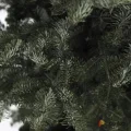 Возьмите Пихта Нордмана (Кавказская)  1,00-1.25 м напрокат (Фото 2) в Москве