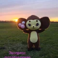 Возьмите Костюм Чебурашки в аренду напрокат (Фото 2) в Санкт-Петербурге