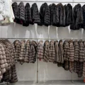 Возьмите Majestic Furs студия меха  напрокат (Фото 1) в Москве
