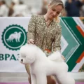 Возьмите Студия Berry Grooming Анны Бардышевой-лучшая студия груминга напрокат (Фото 1) в Москве