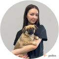 Возьмите FLUFFY студия груминга для животных напрокат (Фото 2) в Москве