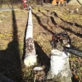 Возьмите Валим Дерево спил и обрезка деревьев напрокат (Фото 2) в Москве