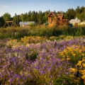 Возьмите LENOTR PARK Ландшафтная мастерская напрокат (Фото 1) в Москве