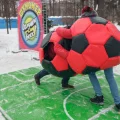Возьмите Футбольное сумо напрокат (Фото 3) в Москве