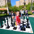 Возьмите Гигантские шахматы напрокат (Фото 4) в Москве