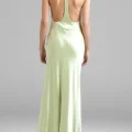Возьмите Платье ABS by Allen Schwartz Pistachio Neck Gown Размер 44 напрокат (Фото 2) в Москве
