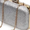 Возьмите Клатч Jessica McClintock Metallik clutch silver напрокат (Фото 2) в Москве