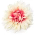 Возьмите Украшение на голову Cara couture Brooch hairpin assortiment напрокат (Фото 1) в Москве