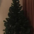 Возьмите новогодняя елка напрокат (Фото 3) в Москве
