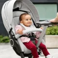 Возьмите Сумка для перевозки Stokke Pram pack 4 кг напрокат (Фото 6) в Москве