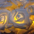 Возьмите Гирлянда  напрокат (Фото 3) в Санкт-Петербурге
