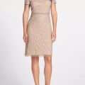Возьмите Платье Adrianna Papell Biege Beaded Cap Sleeve Dress P напрокат (Фото 2) в Москве