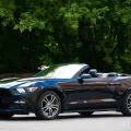 Возьмите Ford Mustang напрокат (Фото 7) в Москве