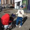 Возьмите Коляска 2в1 Emmaljunga напрокат (Фото 3) в Москве