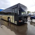 Возьмите Пати Бас Golden-Bus напрокат (Фото 1) в Москве