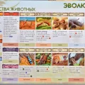 Возьмите Настольная игра "Эволюция. Новый мир" напрокат (Фото 3) в Москве