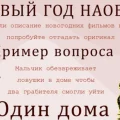Возьмите Новогодний квиз напрокат (Фото 6) в Москве