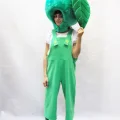 Возьмите КОСТЮМ ЗЕЛЕНОЕ ЯБЛОКО  напрокат (Фото 1) в Москве