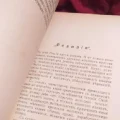Возьмите Наши пролежни: сборник статей Г.С. Петрова, 1913 г. РЕДКИЙ АНТИКВАРИАТ, книга напрокат (Фото 5) в Москве