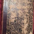 Возьмите Наши пролежни: сборник статей Г.С. Петрова, 1913 г. РЕДКИЙ АНТИКВАРИАТ, книга напрокат (Фото 7) в Москве