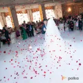 Возьмите ГЕНЕРАТОР ТЯЖЕЛОГО ДЫМА CHAUVET NIMBUS напрокат (Фото 9) в Санкт-Петербурге