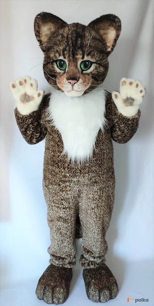 Возьмите Ростовая кукла Кот Реалистичный напрокат (Фото 1) в Москве