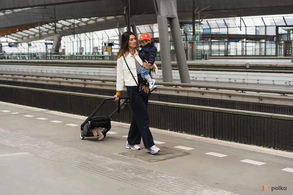 Возьмите Детская коляска Bugaboo ant напрокат (Фото 1) в Москве