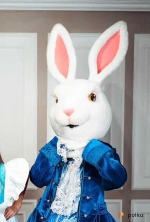 Возьмите Ростовая кукла Кролик напрокат (Фото 1) в Москве