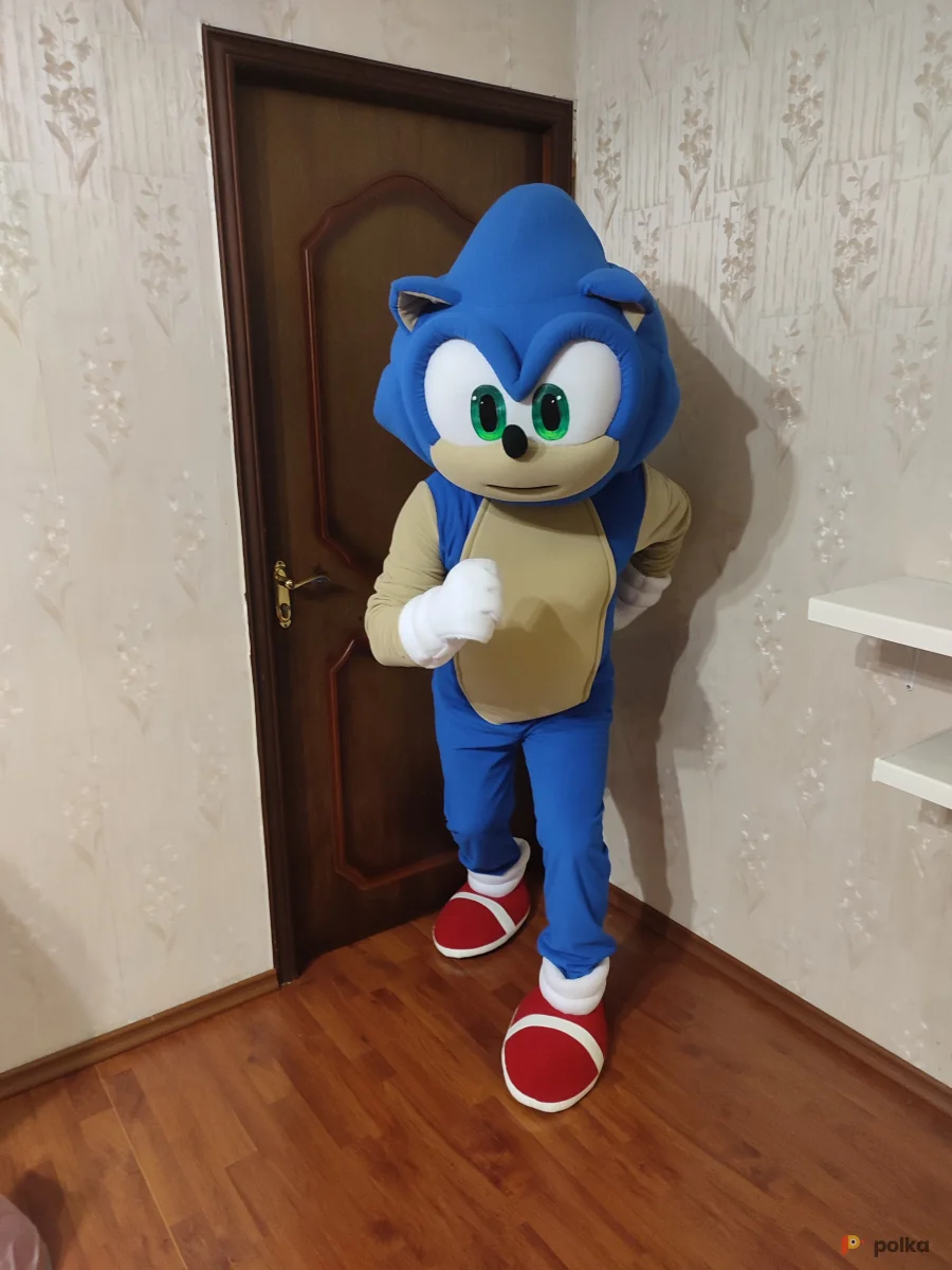 Возьмите Ростовая кукла Соник напрокат (Фото 1) в Москве