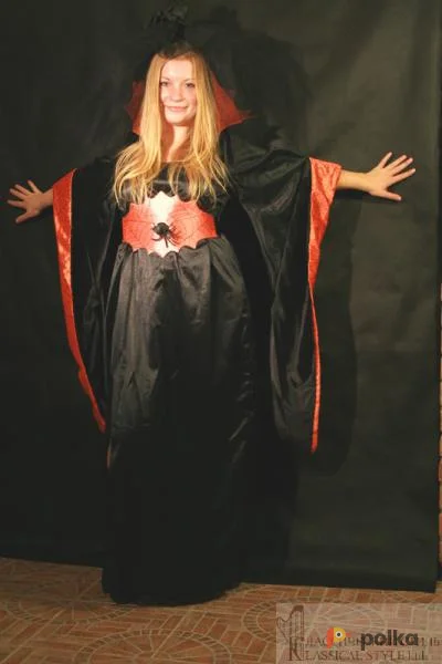 Возьмите Костюм на Хэллоуин "Ведьма" напрокат (Фото 1) в Санкт-Петербурге